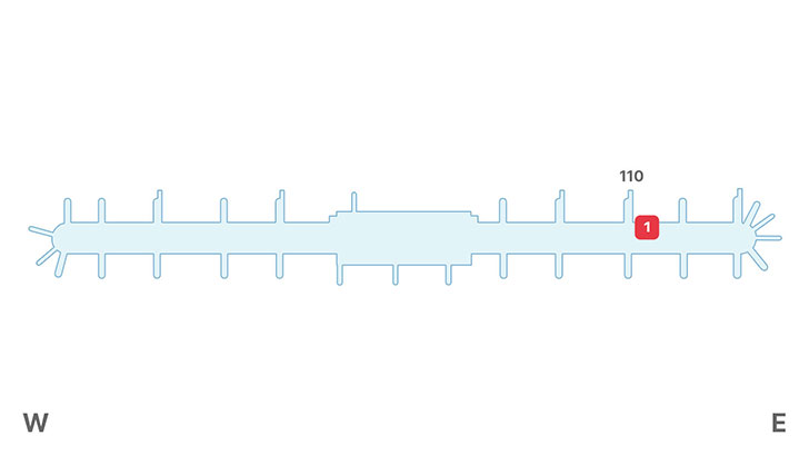 1. 탑승동 110번 게이트 부근