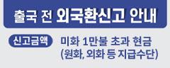 출국 전 외국환신고 안내 신고금액 미화 1만불 초과 현금 (원화, 외화 등 지급수단)