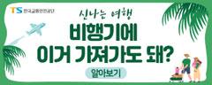 신나는 여행 비행기에 이거 가져가도 돼? 알아보기